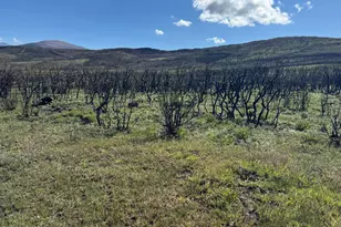 2346 Co Rd 40, Meeker, CO 81641 - Photo 15