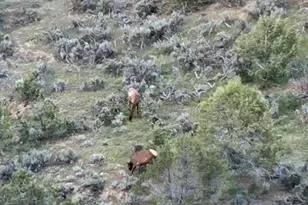 201 Cedar Breaks Rd, Rifle, CO 81650 - Photo 33