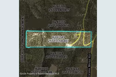 201 Cedar Breaks Road, Rifle, CO 81650 - Photo 29