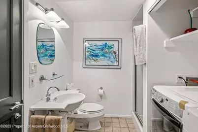814 W Bleeker Street #E4, Aspen, CO 81611 - Photo 15