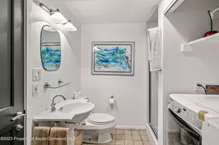 814 W Bleeker St, Aspen, CO 81611 - Photo 15