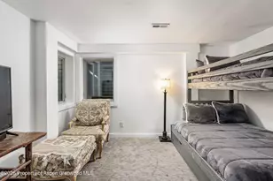 814 W Bleeker St, Aspen, CO 81611 - Photo 17