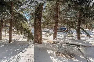814 W Bleeker St, Aspen, CO 81611 - Photo 15