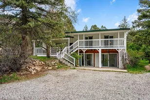 100 Comanchero Trail, New Castle, CO 81647 - Photo 3