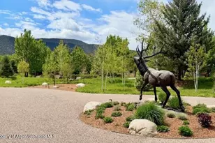 38 E Diamond A Ranch Rd, Carbondale, CO 81623 - Photo 61