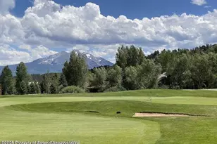 38 E Diamond A Ranch Rd, Carbondale, CO 81623 - Photo 149