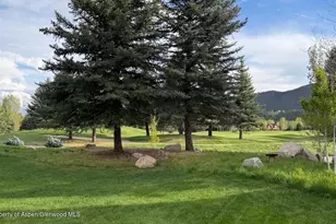 38 E Diamond A Ranch Rd, Carbondale, CO 81623 - Photo 39