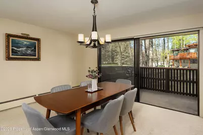 400 W Hopkins Avenue #5, Aspen, CO 81611 - Photo 5