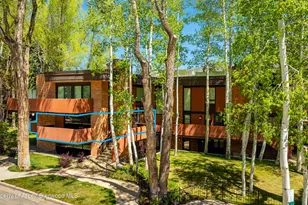 400 W Hopkins Ave, Aspen, CO 81611 - Photo 21