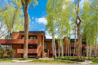 400 W Hopkins Avenue #5, Aspen, CO 81611 - Photo 35