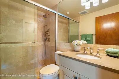 400 W Hopkins Avenue #5, Aspen, CO 81611 - Photo 15
