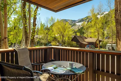 400 W Hopkins Avenue #5, Aspen, CO 81611 - Photo 29