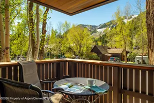400 W Hopkins Ave, Aspen, CO 81611 - Photo 29