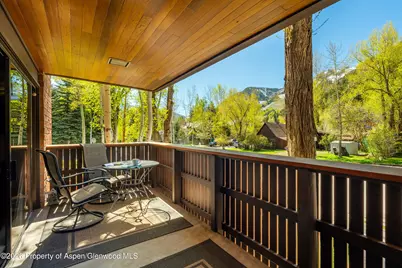 400 W Hopkins Avenue #5, Aspen, CO 81611 - Photo 3
