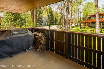 400 W Hopkins Avenue #5, Aspen, CO 81611 - Photo 31