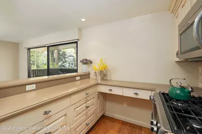 400 W Hopkins Avenue #5, Aspen, CO 81611 - Photo 9