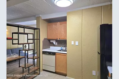 11101 County Road 117 #B6, Glenwood Springs, CO 81601 - Photo 3