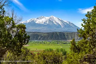 501 Wooden Deer Rd, Carbondale, CO 81623 - Photo 53