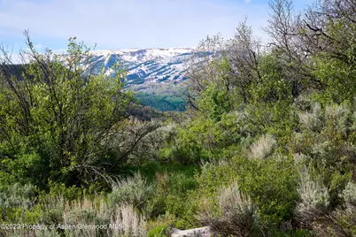 51 Shield O Road, Snowmass, CO 81654 - Photo 13