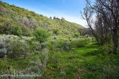 51 Shield O Road, Snowmass, CO 81654 - Photo 3