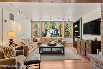926 Waters Avenue #203, Aspen, CO 81611 - Photo 5