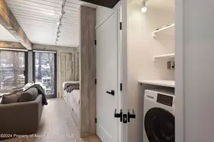1039 E Cooper Ave, Aspen, CO 81611 - Photo 9