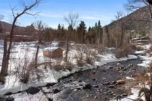 1039 E Cooper Ave, Aspen, CO 81611 - Photo 13
