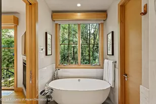 1190 Riverside Dr, Aspen, CO 81611 - Photo 15