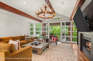 706 E Hyman Ave, Aspen, CO 81611 - Photo 9