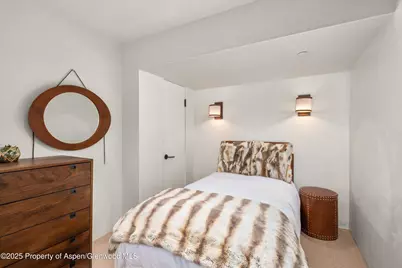 706 E Hyman Avenue, Aspen, CO 81611 - Photo 37