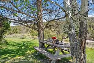 2085 Co Rd 112, Carbondale, CO 81623 - Photo 37