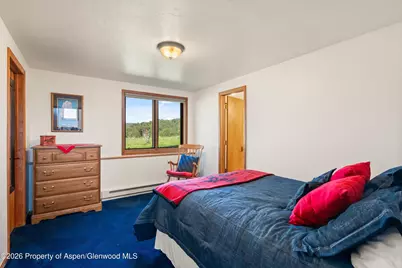 2085 County Road 112, Carbondale, CO 81623 - Photo 27