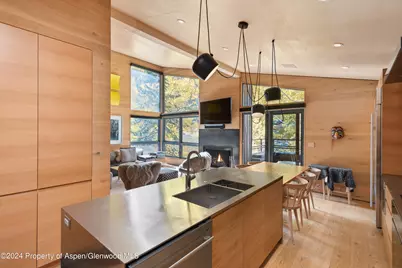 800 S Monarch Street #Unit 9, Aspen, CO 81611 - Photo 11