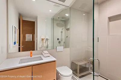800 S Monarch Street #Unit 9, Aspen, CO 81611 - Photo 21