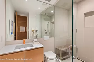 800 S Monarch St, Aspen, CO 81611 - Photo 21