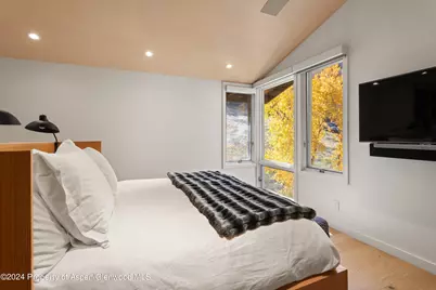 800 S Monarch Street #Unit 9, Aspen, CO 81611 - Photo 17