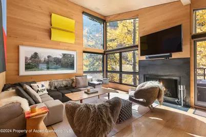 800 S Monarch Street #Unit 9, Aspen, CO 81611 - Photo 3
