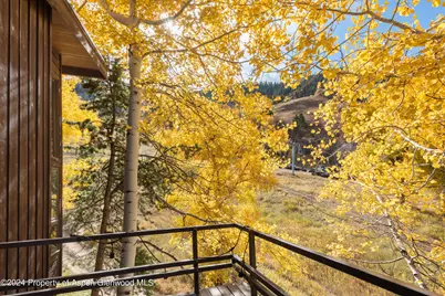 800 S Monarch Street #Unit 9, Aspen, CO 81611 - Photo 9