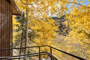 800 S Monarch St, Aspen, CO 81611 - Photo 9
