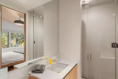 800 S Monarch Street #Unit 9, Aspen, CO 81611 - Photo 15