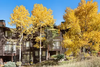 800 S Monarch Street #Unit 9, Aspen, CO 81611 - Photo 25