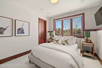 294 Draw Drive, Aspen, CO 81611 - Photo 29
