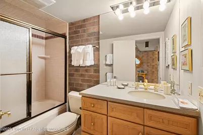 625 S West End Street #Unit 12, Aspen, CO 81611 - Photo 17