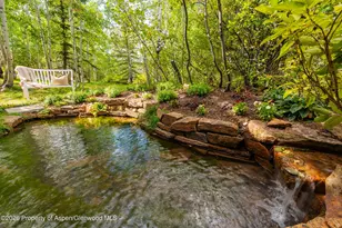 239 Antler Ridge Ln, Snowmass Village, CO 81615 - Photo 27