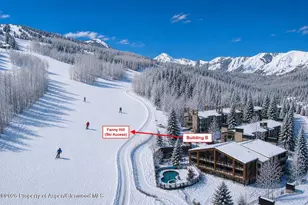 690 Carriage Way, Snowmass Village, CO 81615 - Photo 3