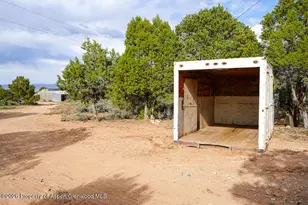 61020 Tres Coyotes Trail, Montrose, CO 81403 - Photo 13