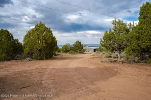 61020 Tres Coyotes Trail, Montrose, CO 81403 - Photo 7