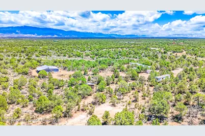 61020 Tres Coyotes Trail, Montrose, CO 81403 - Photo 3