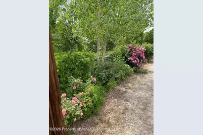 234 28 1/2 Road, Grand Junction, CO 81503 - Photo 11