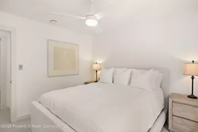 814 W Bleeker Street #B2, Aspen, CO 81611 - Photo 13